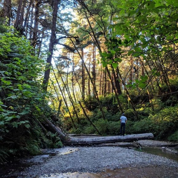 Meet your Posher, Tyler - Picture 1 of 1